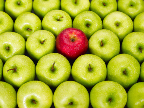 Find the ideal size business to buy